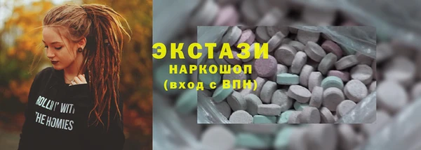 ECSTASY Богородицк