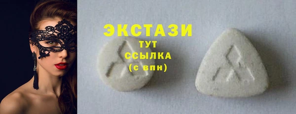 ECSTASY Богородицк